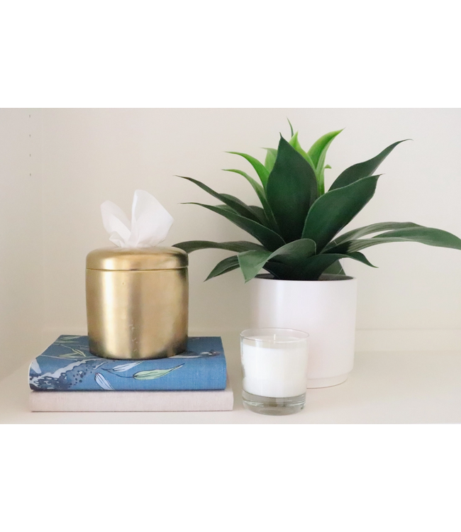 The Coco Tissue Vessel