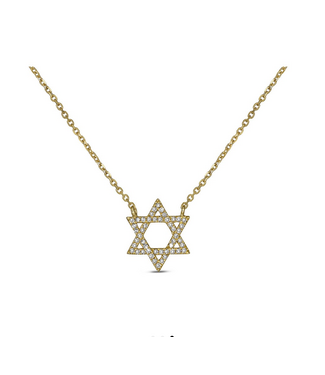 Charmed Star of David Necklace 14KY -0.014CTW