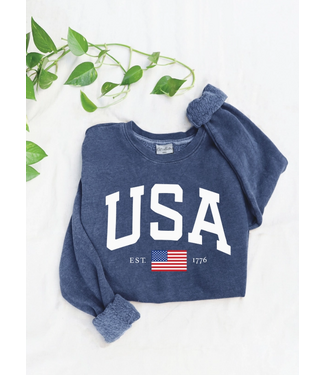 USA Mineral Graphic Sweatshirt Vintage Denim