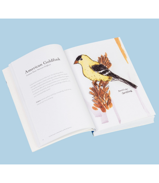 The Field Guide To Dumb Birds of North America