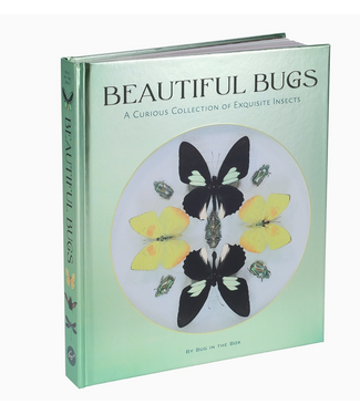 Beautiful Bugs