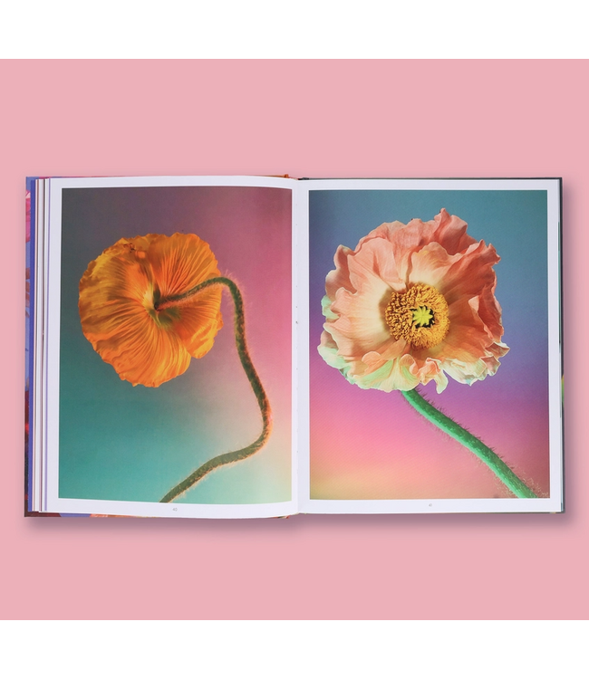 Still Life Floral Design Book