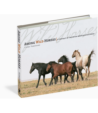 Among Wild Horses Hardcover