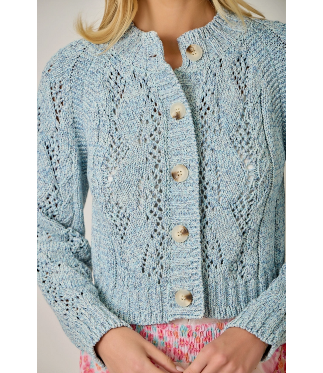 Multicolor Cable Knit Cardigan Blue