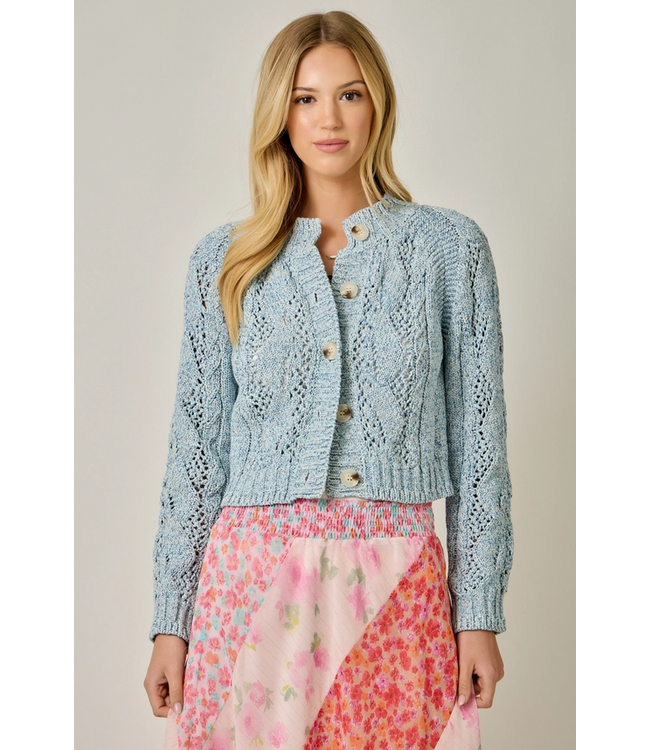 Multicolor Cable Knit Cardigan Blue