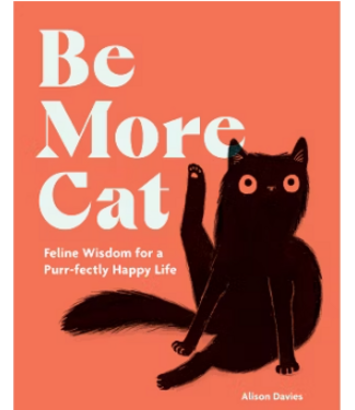 Be More Cat Book