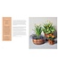 The Container Garden Recipe Book