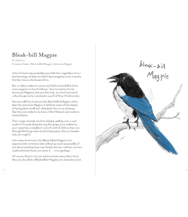 A Dumb Birds Field Guide to the Worst Birds Ever