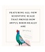 A Dumb Birds Field Guide to the Worst Birds Ever