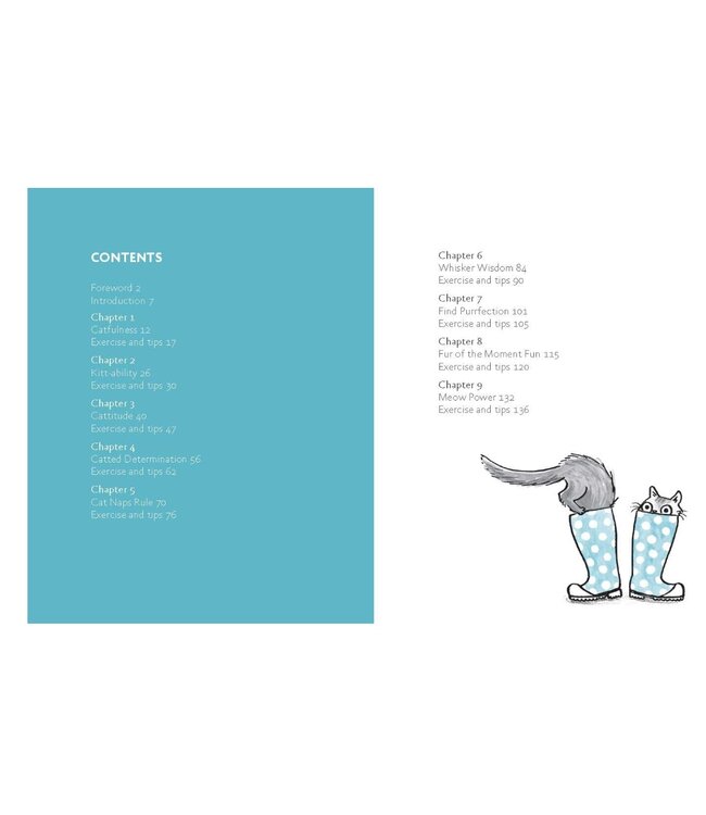 Be More Cat Book