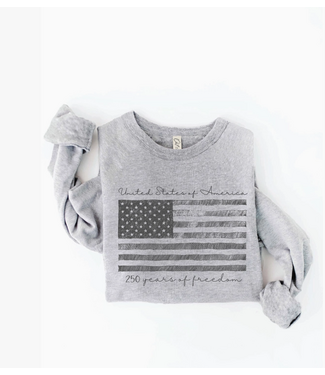 United States of America Graphic Sweatshirt Heather Grey