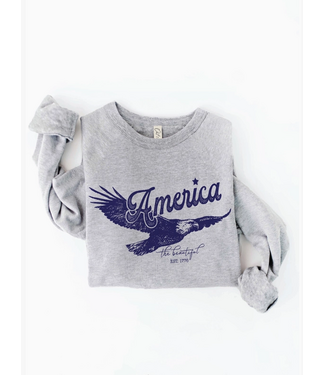 America the Beautiful Graphic Sweatshirt Heather Grey