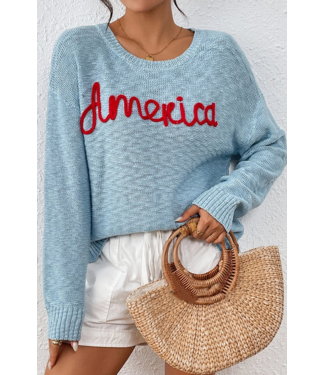 America Embroidered Crew Neck Blue