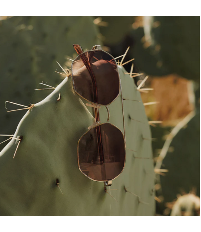Diff Eyewear Jojo Fletcher Joelle Sunglasses Horn Tort
