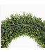 Boxwood Wreath Everlux 19inch