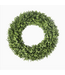 Boxwood Wreath Everlux 19inch