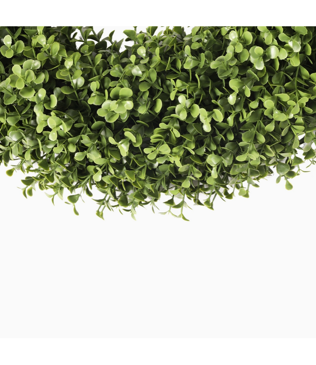 Boxwood Wreath Everlux 19inch