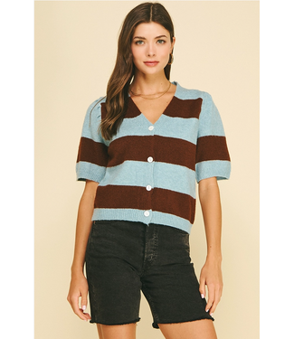 Color Block V-Neck Sweater Blue/Brown