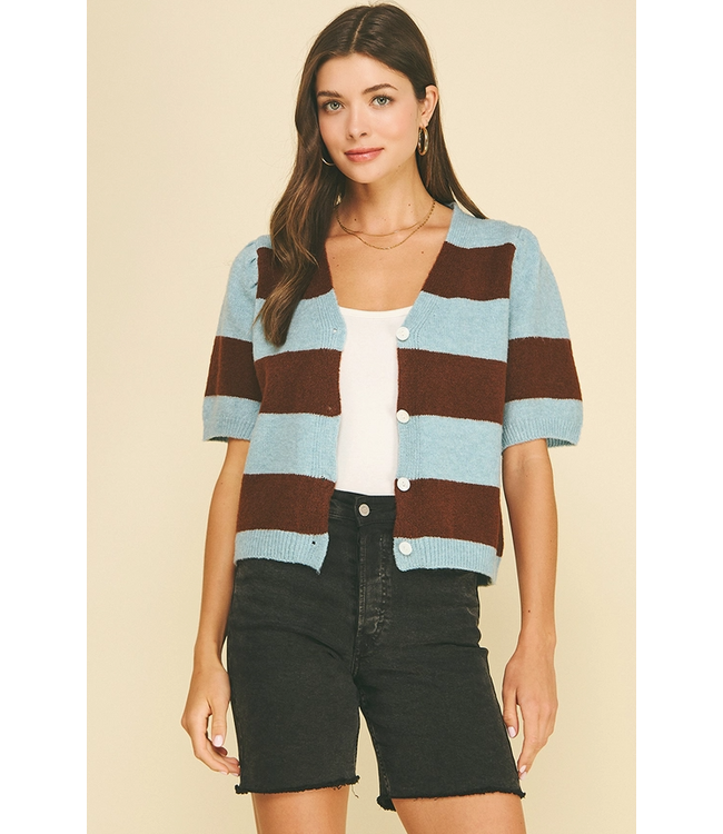 Color Block V-Neck Sweater Blue/Brown