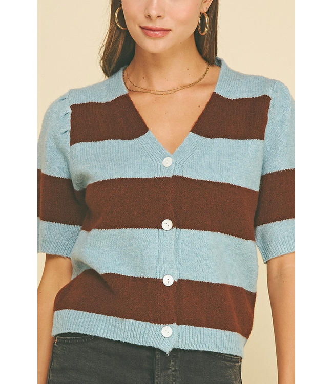 Color Block V-Neck Sweater Blue/Brown