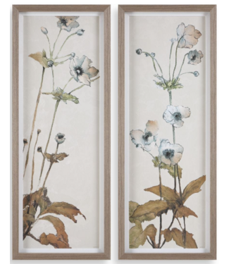 Uttermost Garden Study Prints Set/2