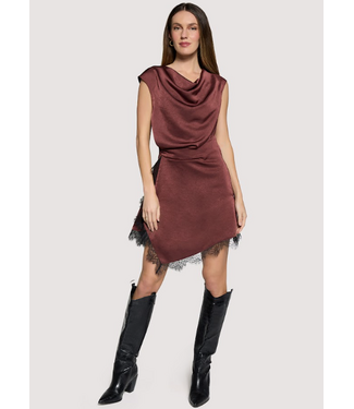 Romantic Grace Mini Dress Plum