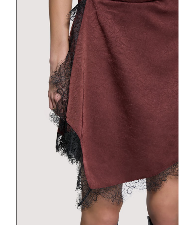 Romantic Grace Mini Dress Plum