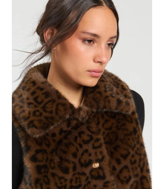 VillaGallo Vison Marron Eco Fur Vest