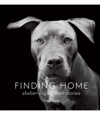 Finding Home Book