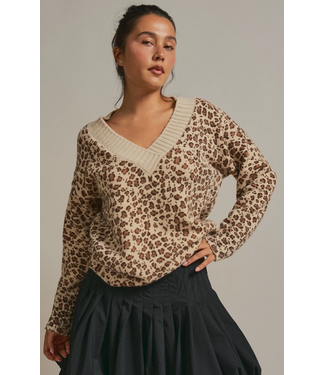Leopard Print V-Neck Knit Sweater