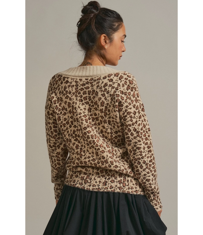 Leopard Print V-Neck Knit Sweater