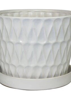 Frequency Pot With Saucer