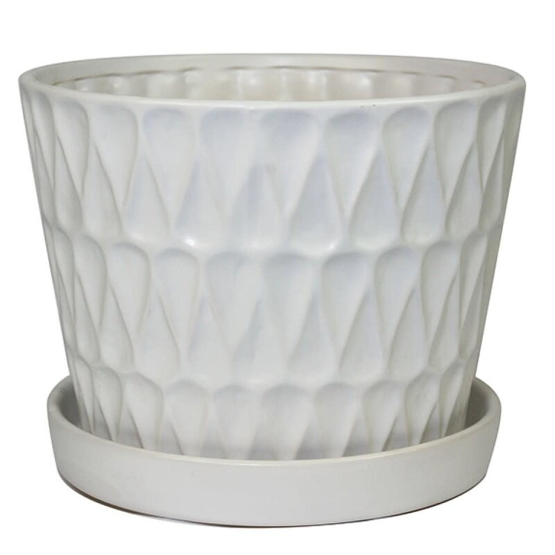 Frequency Pot With Saucer