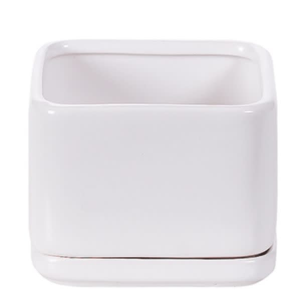 Download Square Matte White Pot and Saucer 4.5" - Dutch Growers Yellowimages Mockups