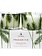 Thymes Frasier Fir Candle Set