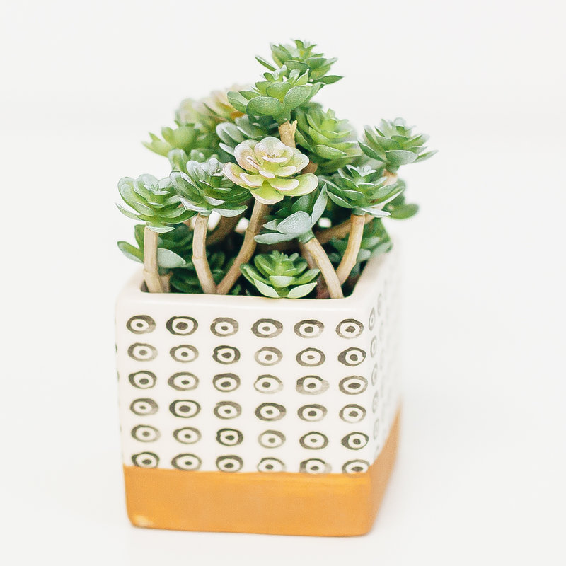 Dolomite Square Planter Black and White