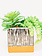Dolomite Square Planter Black and White