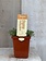 Fragro Thyme Creeping Lemon 3.5" Herb