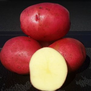 Potato Norland 5lb