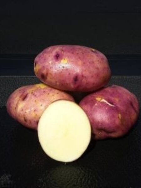 Potato Caribe 5lb