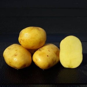 Potato Yukon Gold 5lb