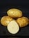 Potato Kennebec 5lb