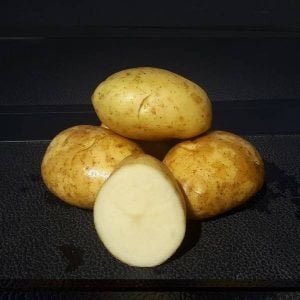Potato Kennebec 5lb