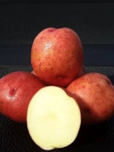 Potato Sangre 5lb