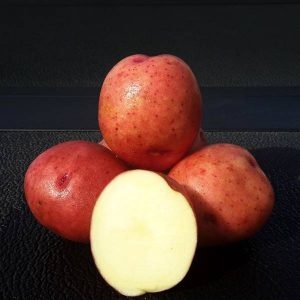 Potato Sangre 5lb