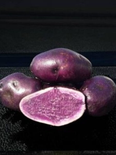 Potato Russian Blue 5lb