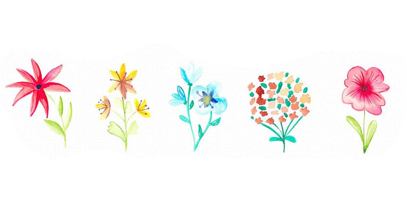 Educational Care Tips Annual Flower Hanging Basket Care Dutch