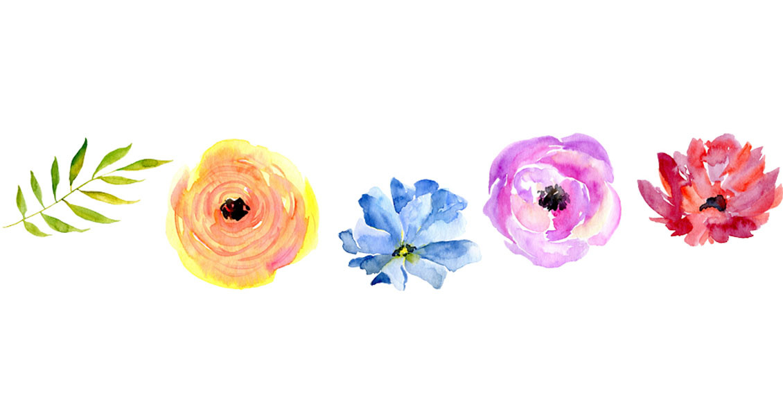 Fertilizing Annuals & Perennials