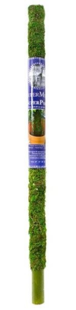 Moss Pole