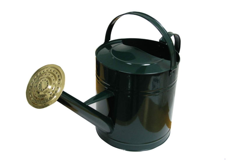 Galvanized Watering Can Zinc 2gal